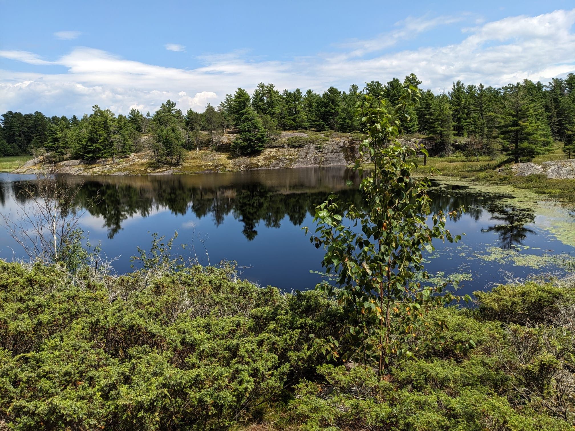 Grundy Lake Provincial Park- Sarah K Shepherd