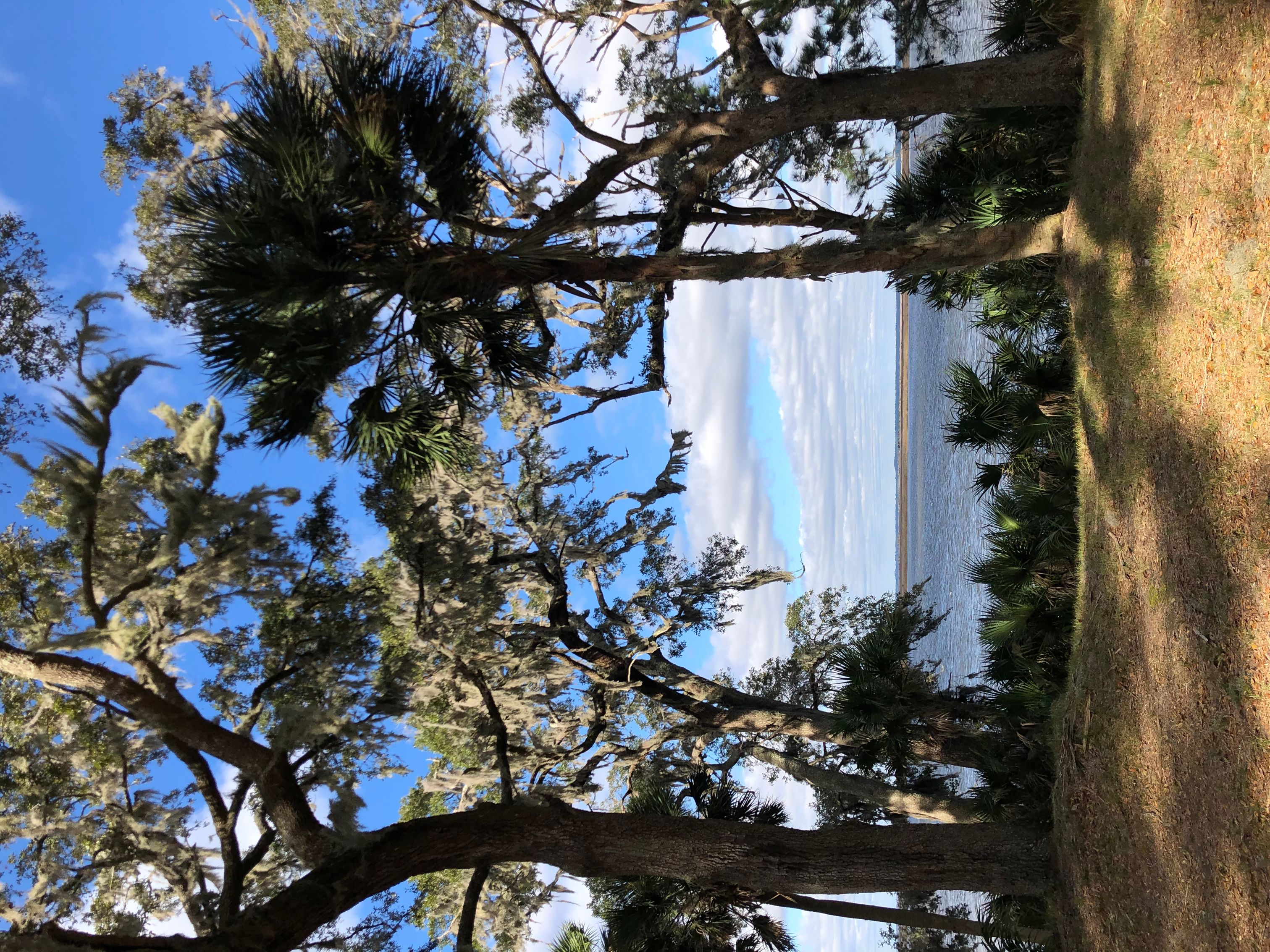 Fort Mcallister State Historic Site- Ben Suarez
