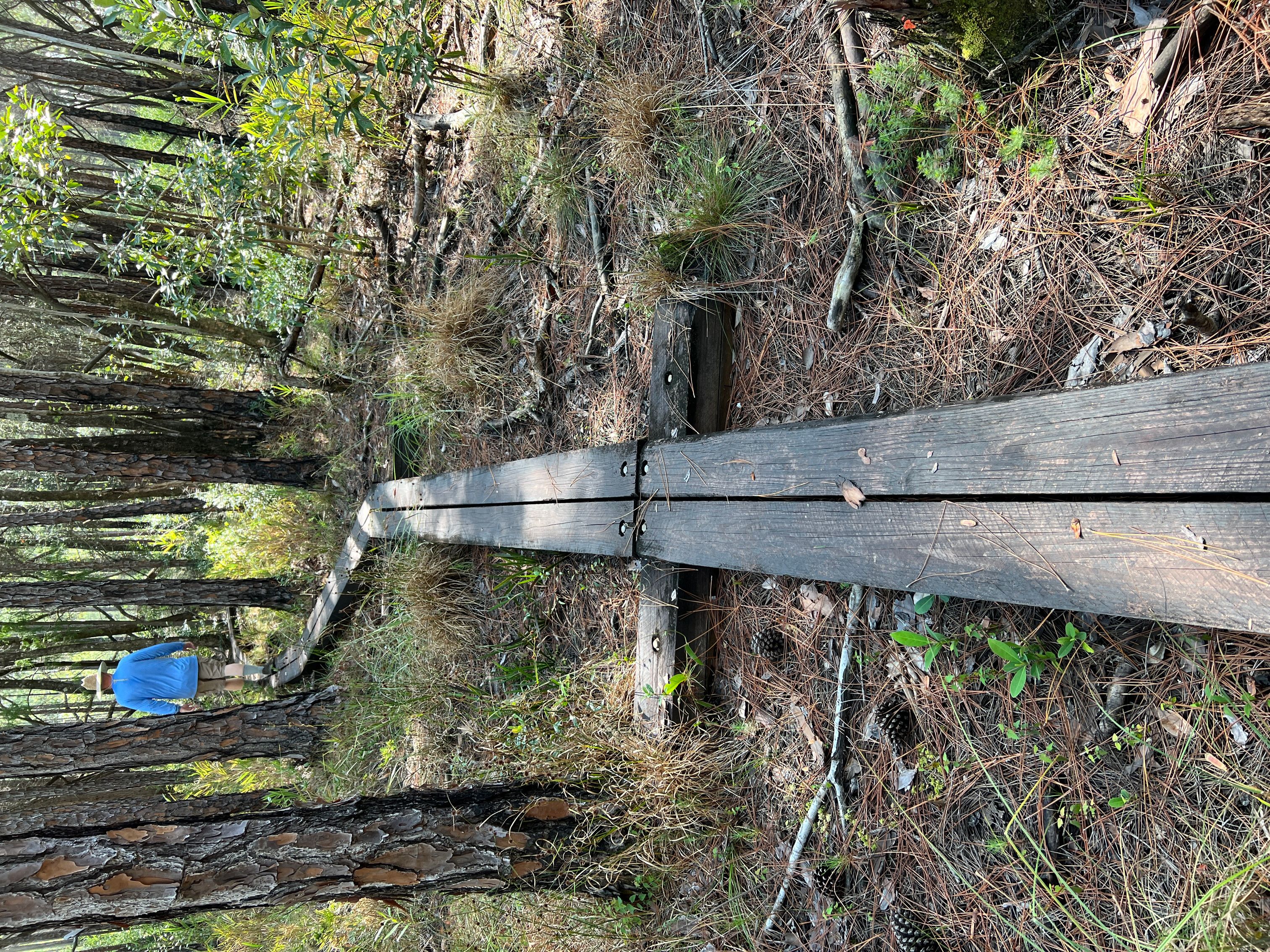 Blackwater River State Park - Jessica O