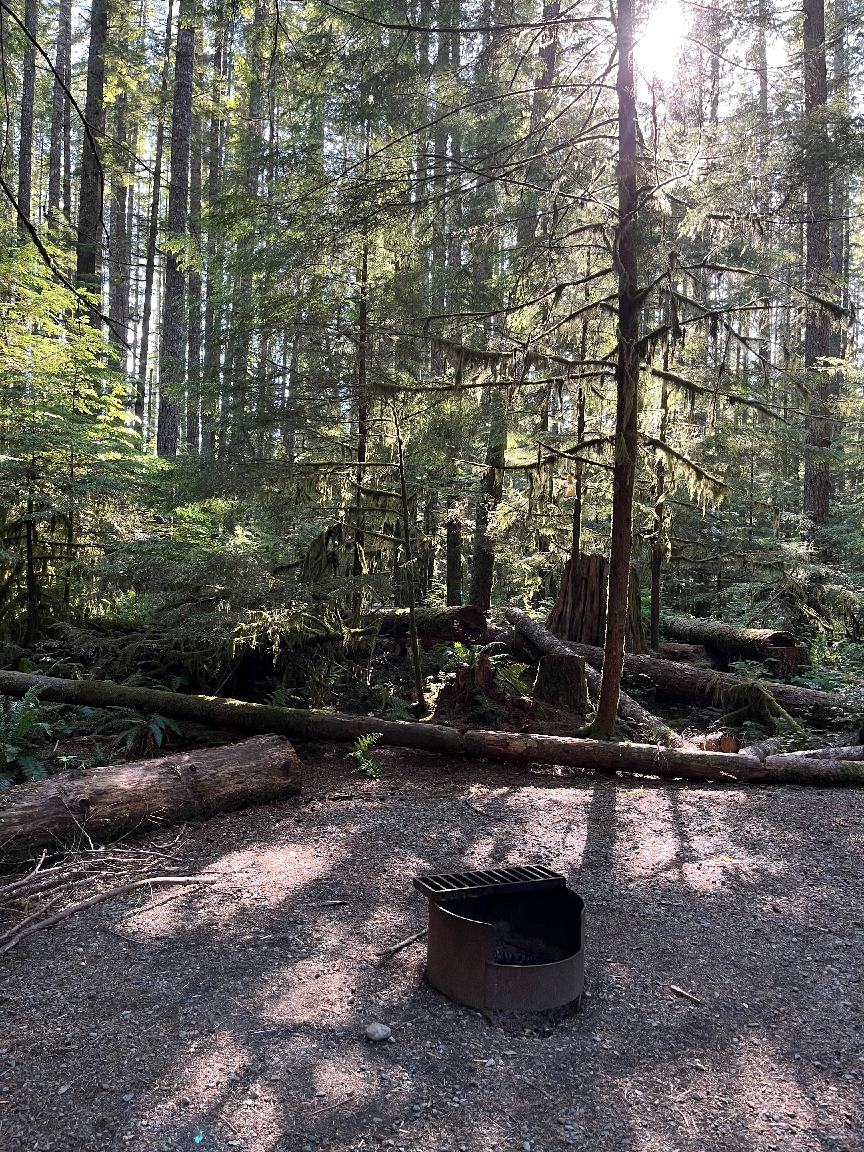 Gordon Bay Provincial Park - shelley werner