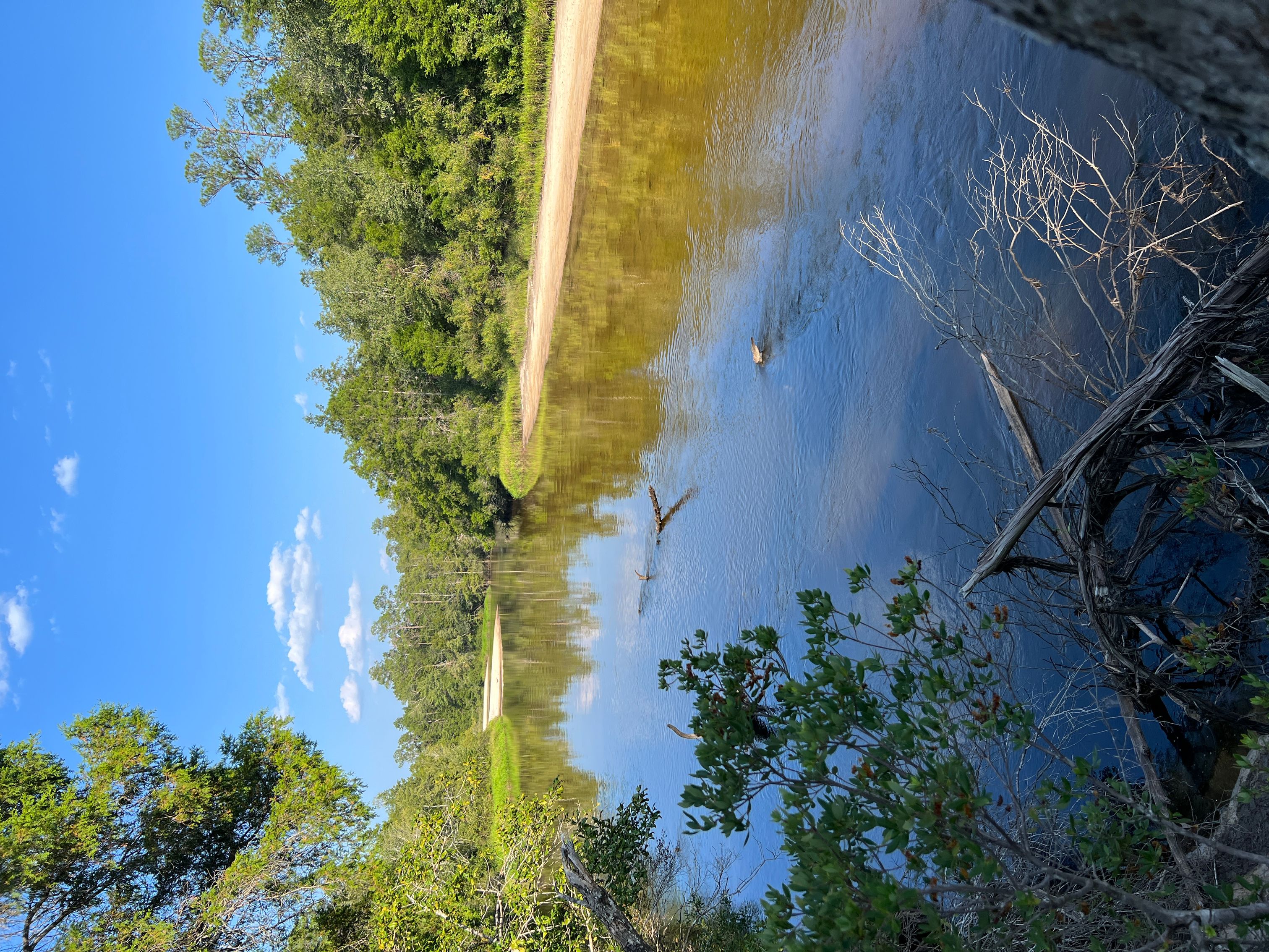 Blackwater River State Park - Jessica O