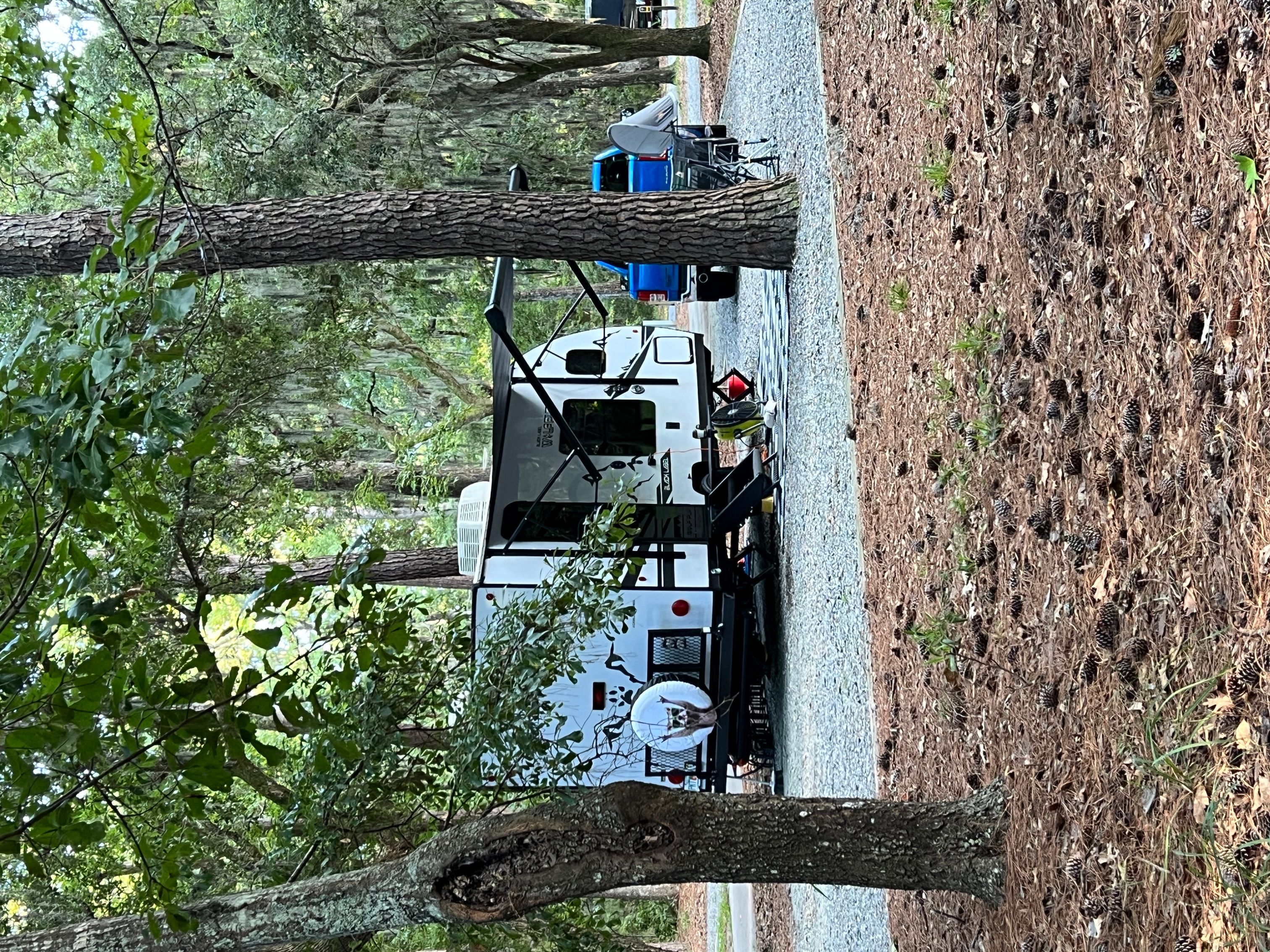 Skidaway Island State Park - Jessica O