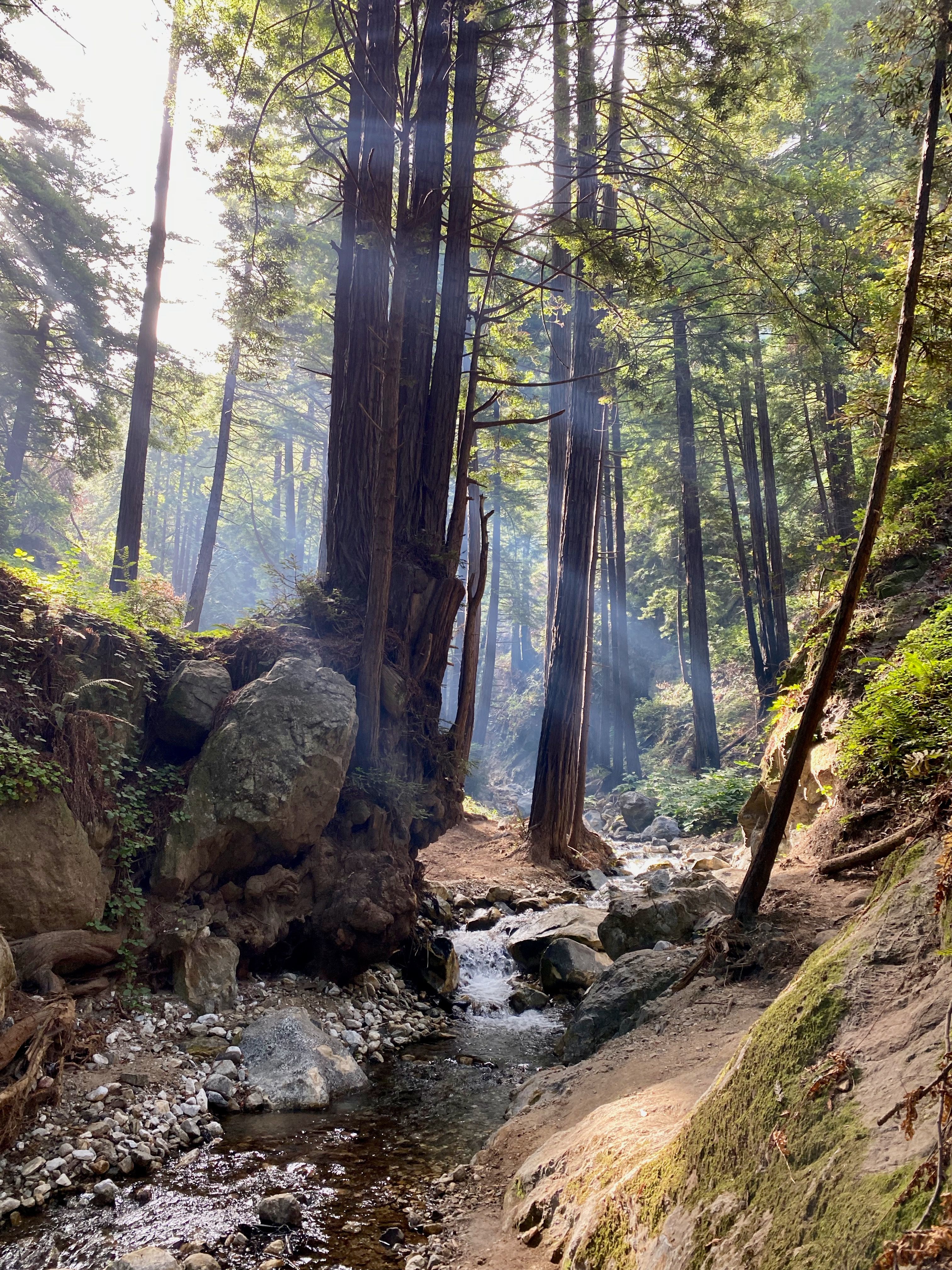 Limekiln State Park - Mary C Humphrey