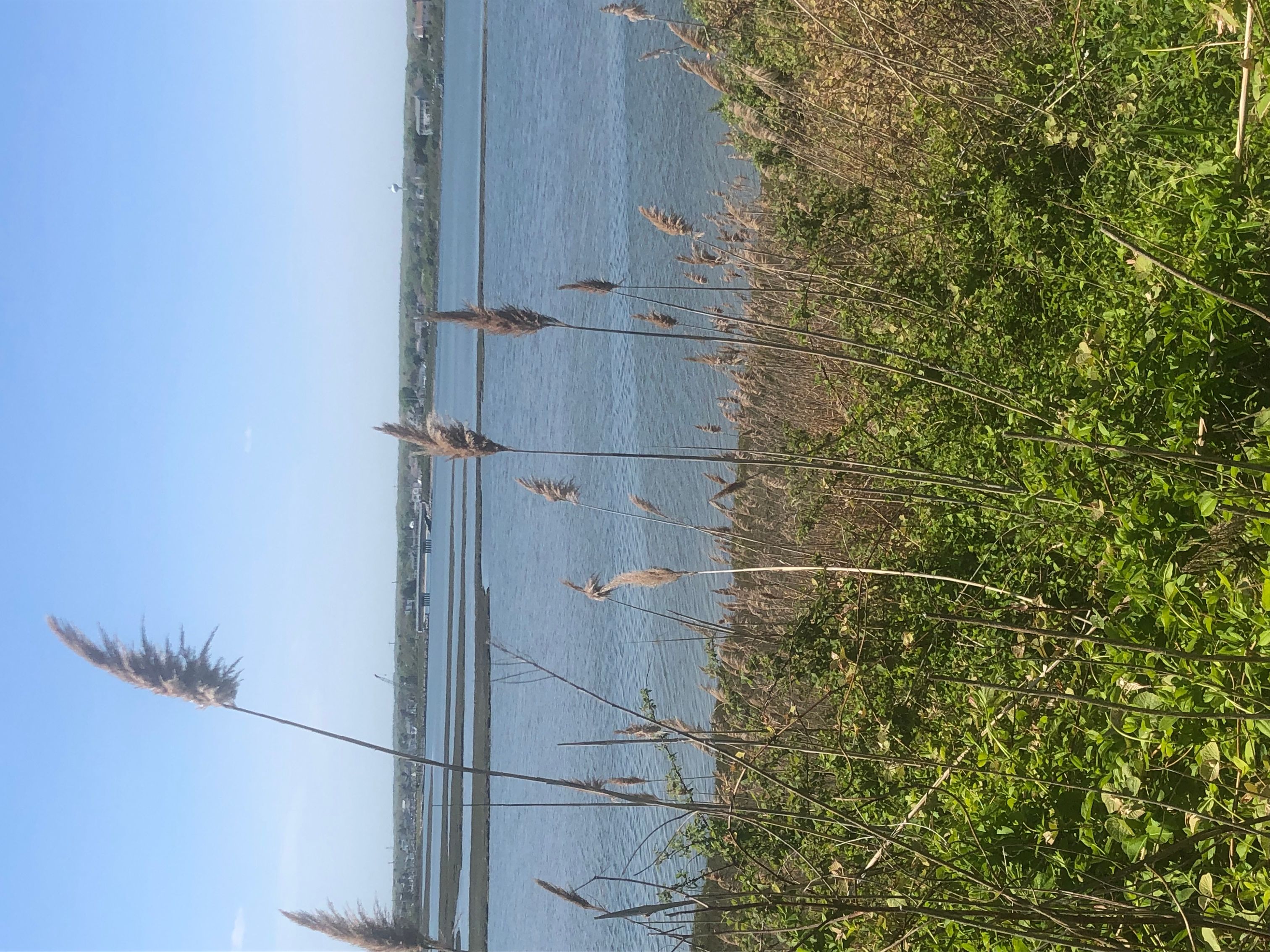 Fishermens Memorial State Park- Peter Caron