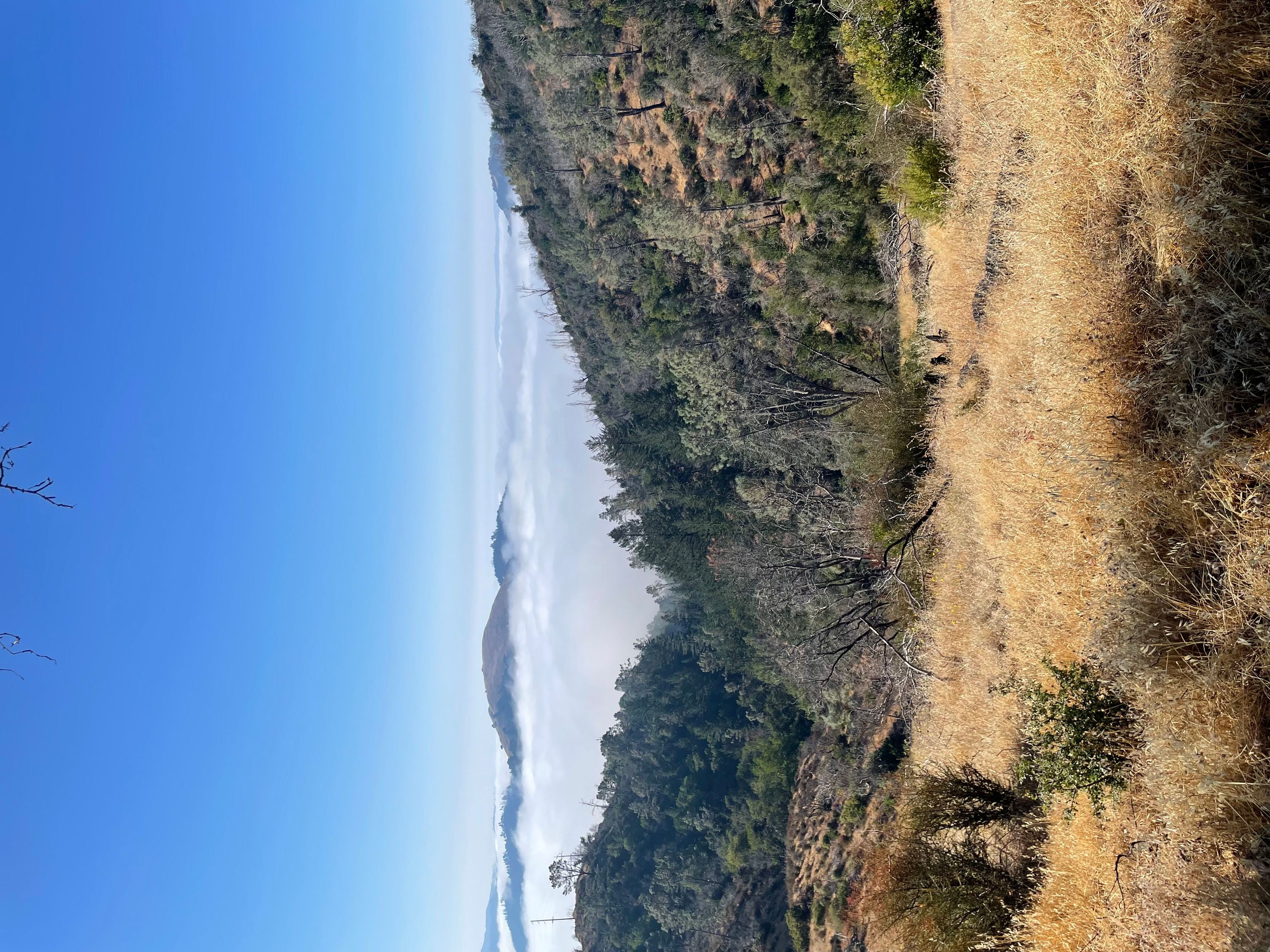 Sugarloaf Ridge State Park - Harrison Wright