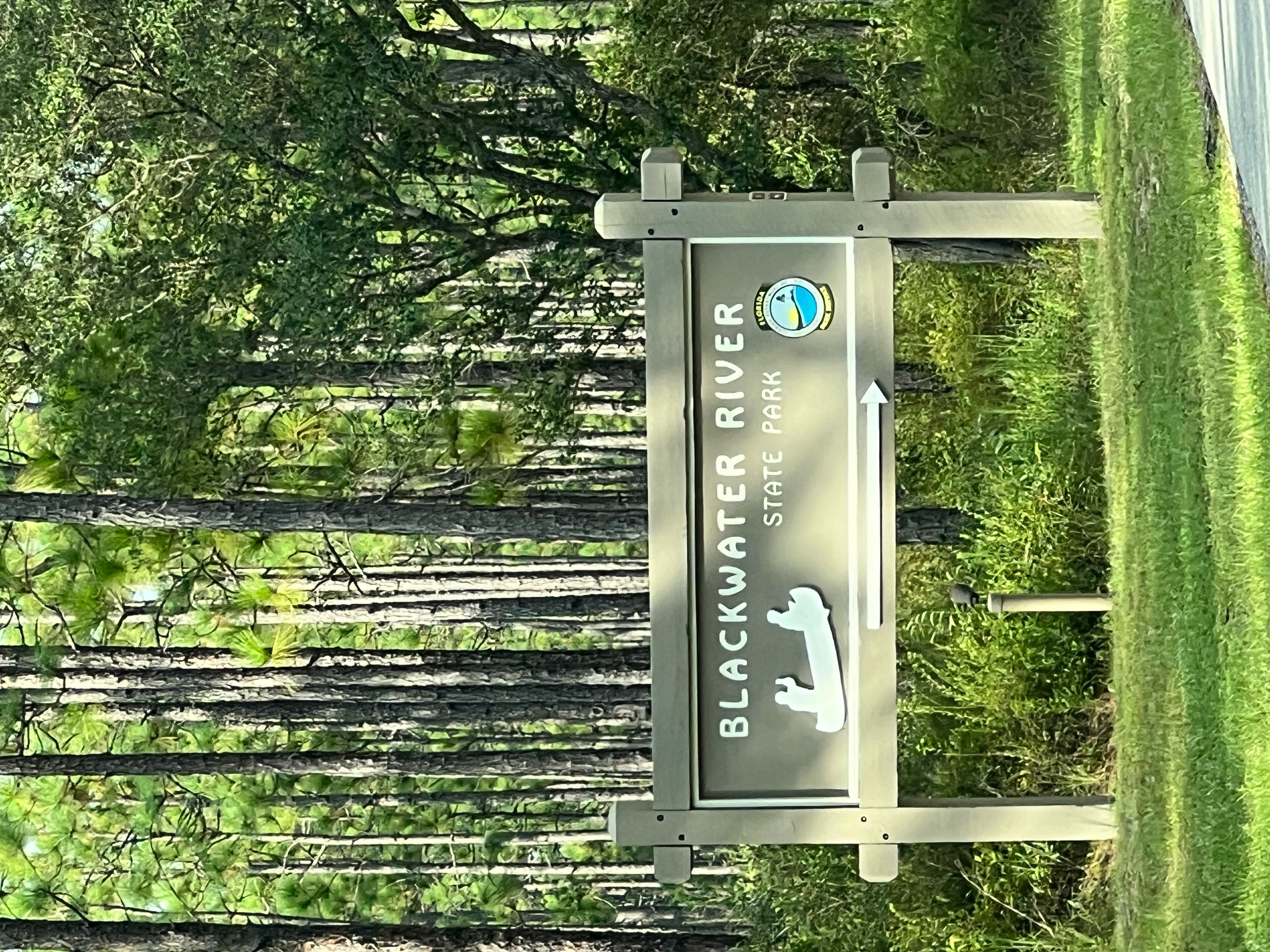 Blackwater River State Park- Jessica O