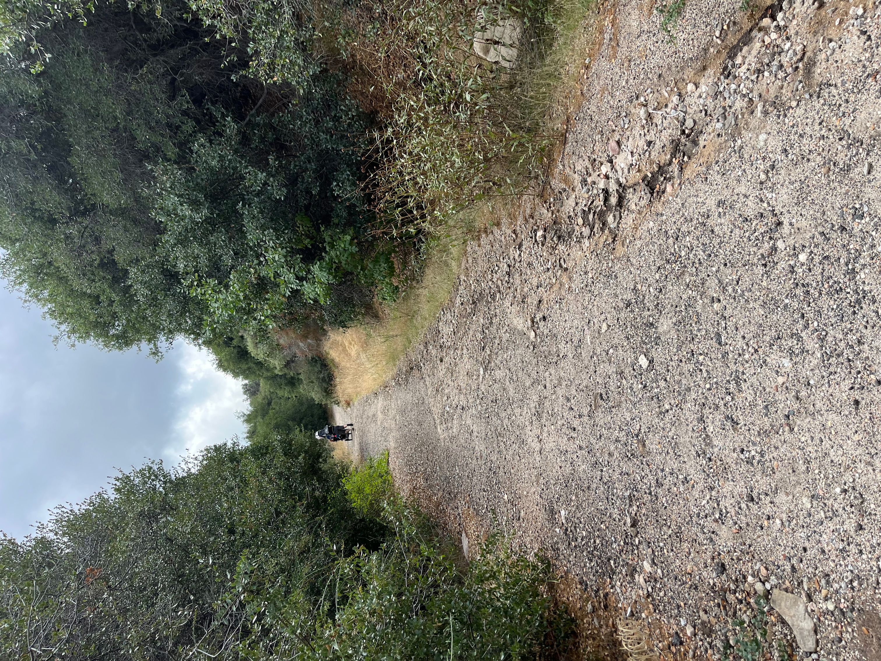 Silverwood Lake State Recreation Area - Barbara L stepner