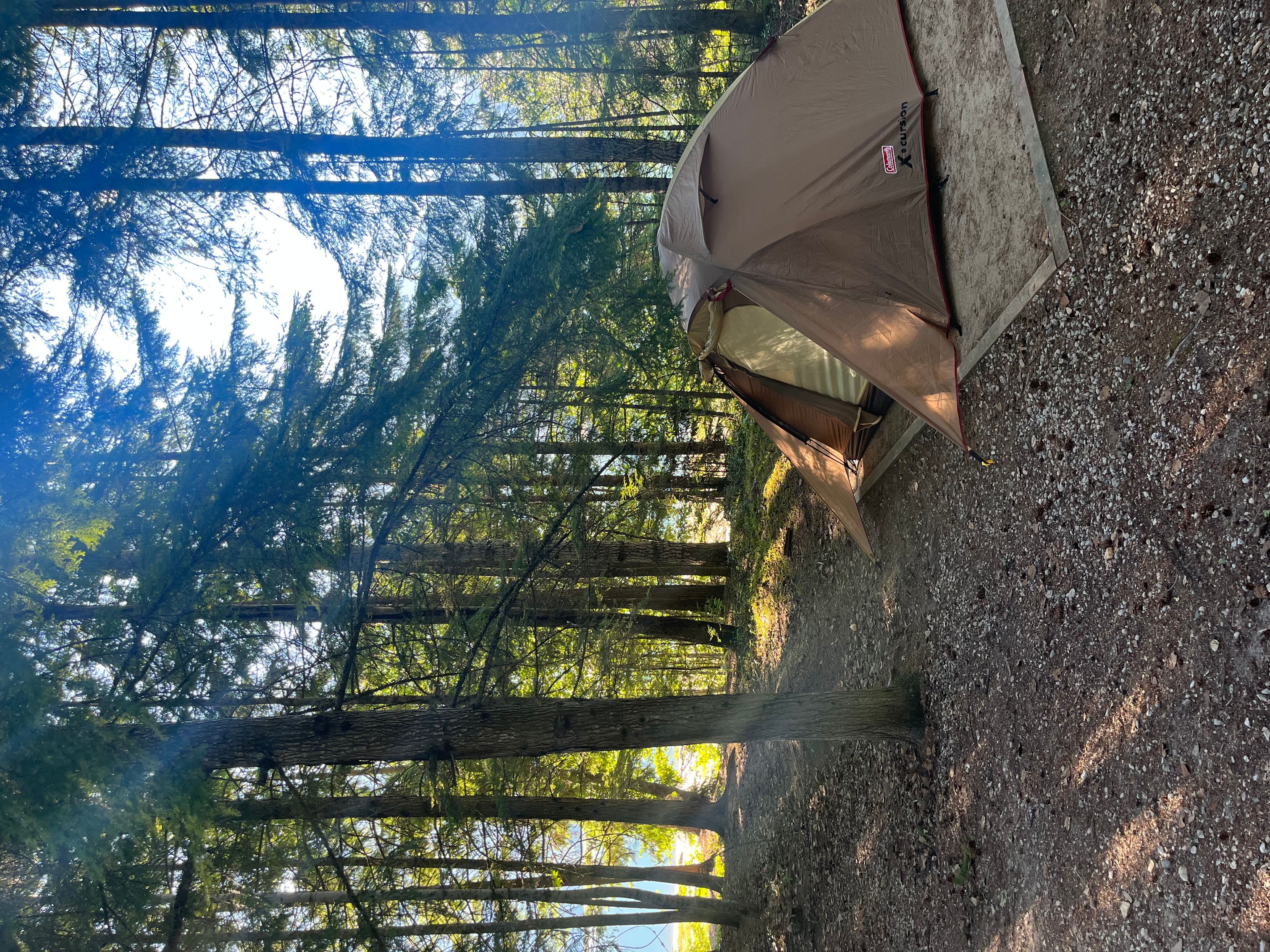 McDonald Creek Provincial Park- Monica Niederlich