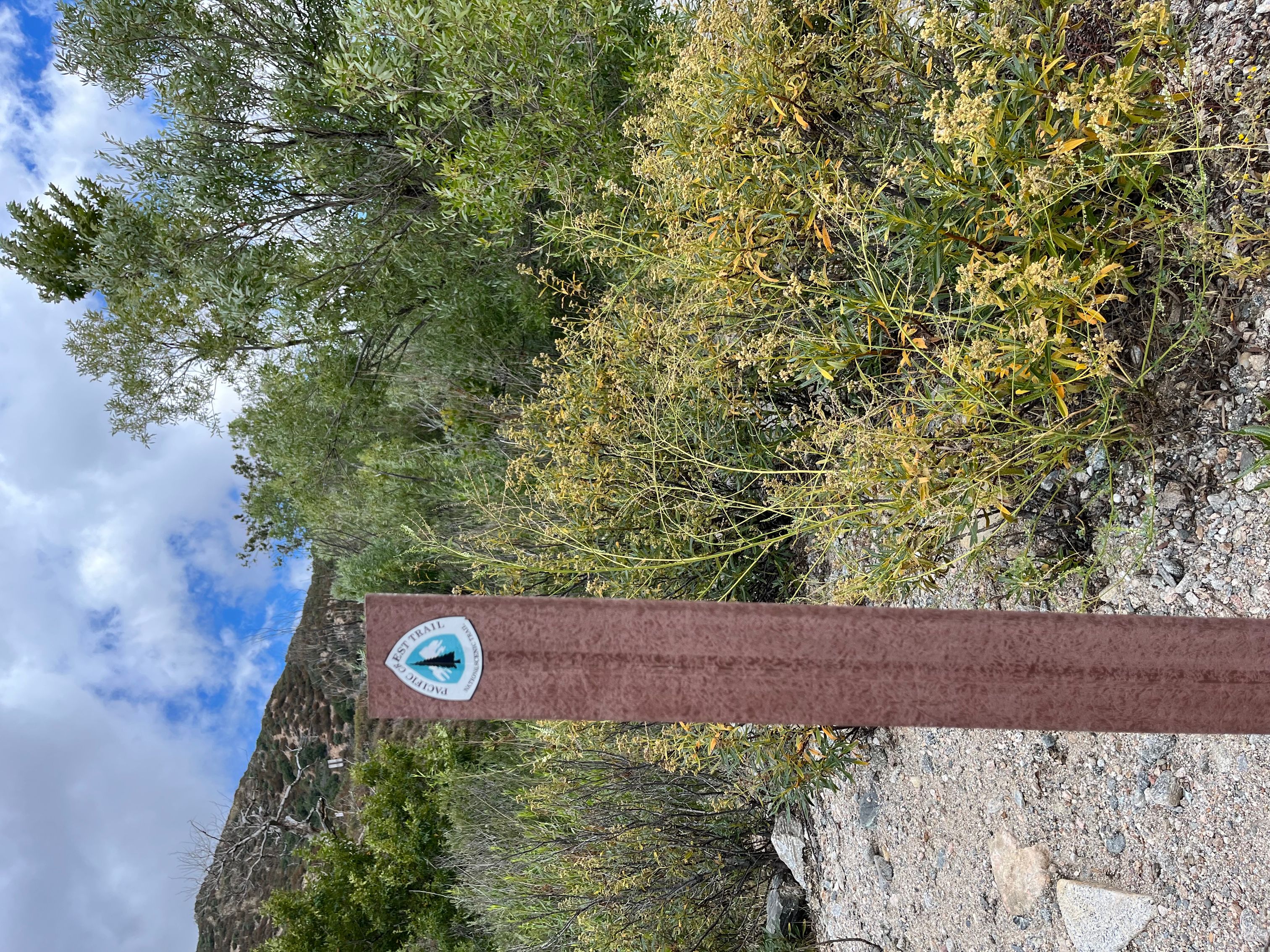 Silverwood Lake State Recreation Area - Barbara L stepner