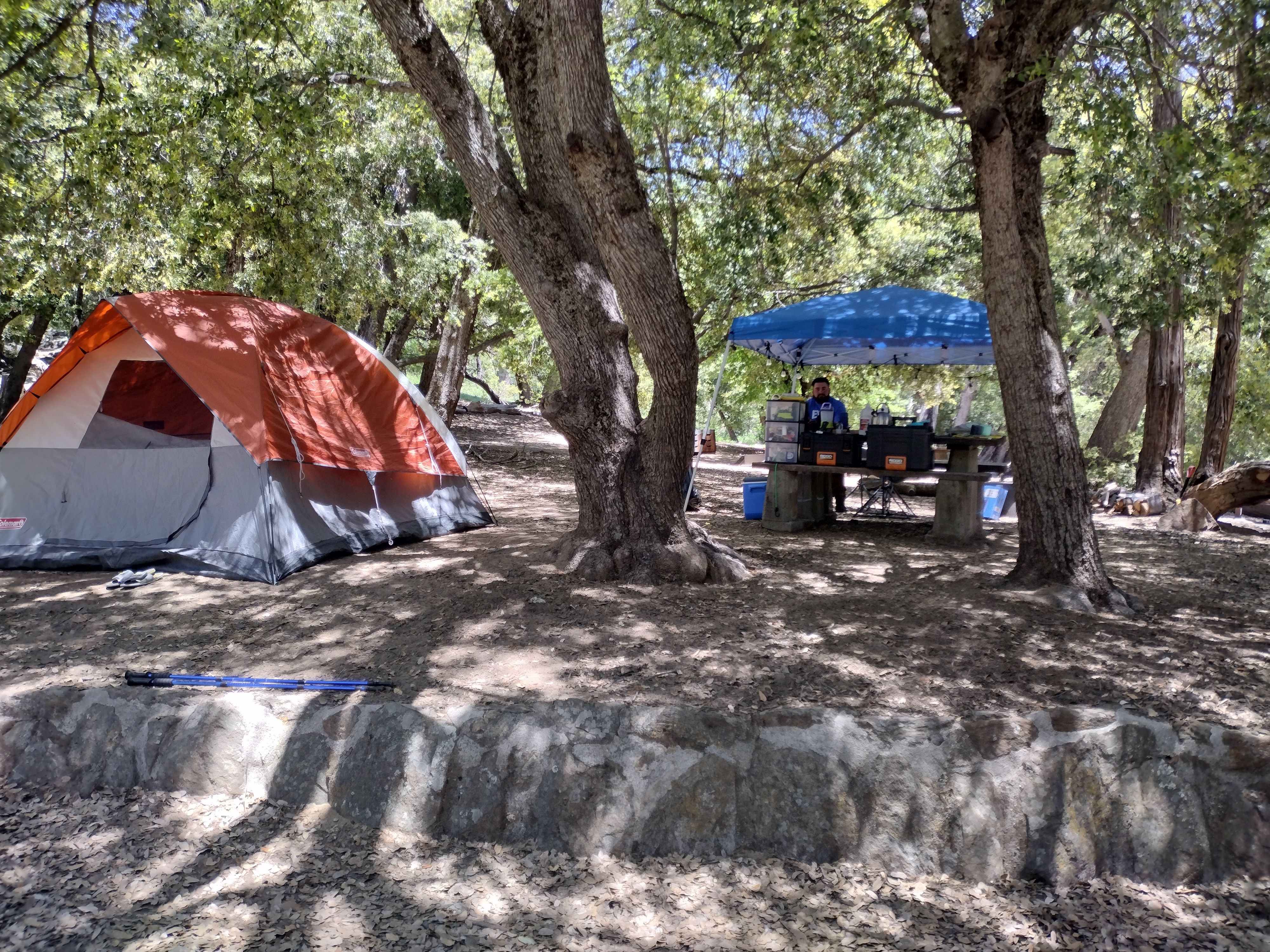 Palomar Mountain State Park - Emily De Arcos