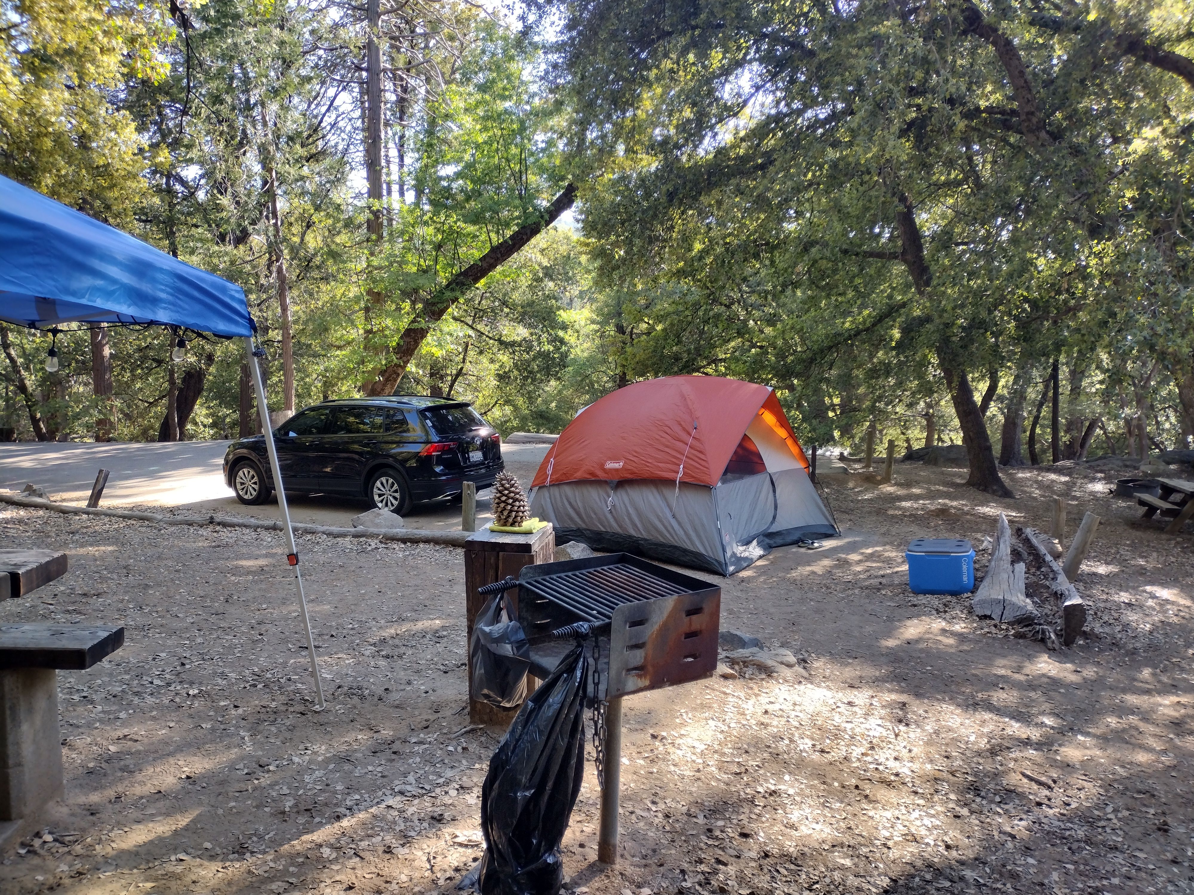 Palomar Mountain State Park - Emily De Arcos