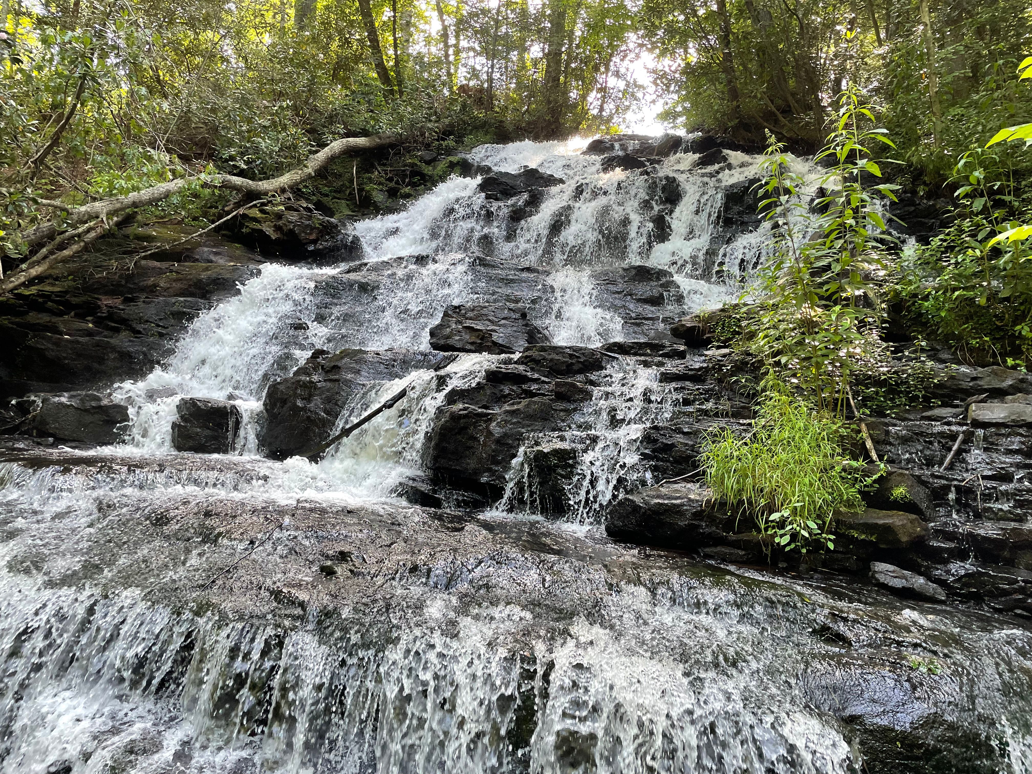 Vogel State Park- Darlene Ralicki