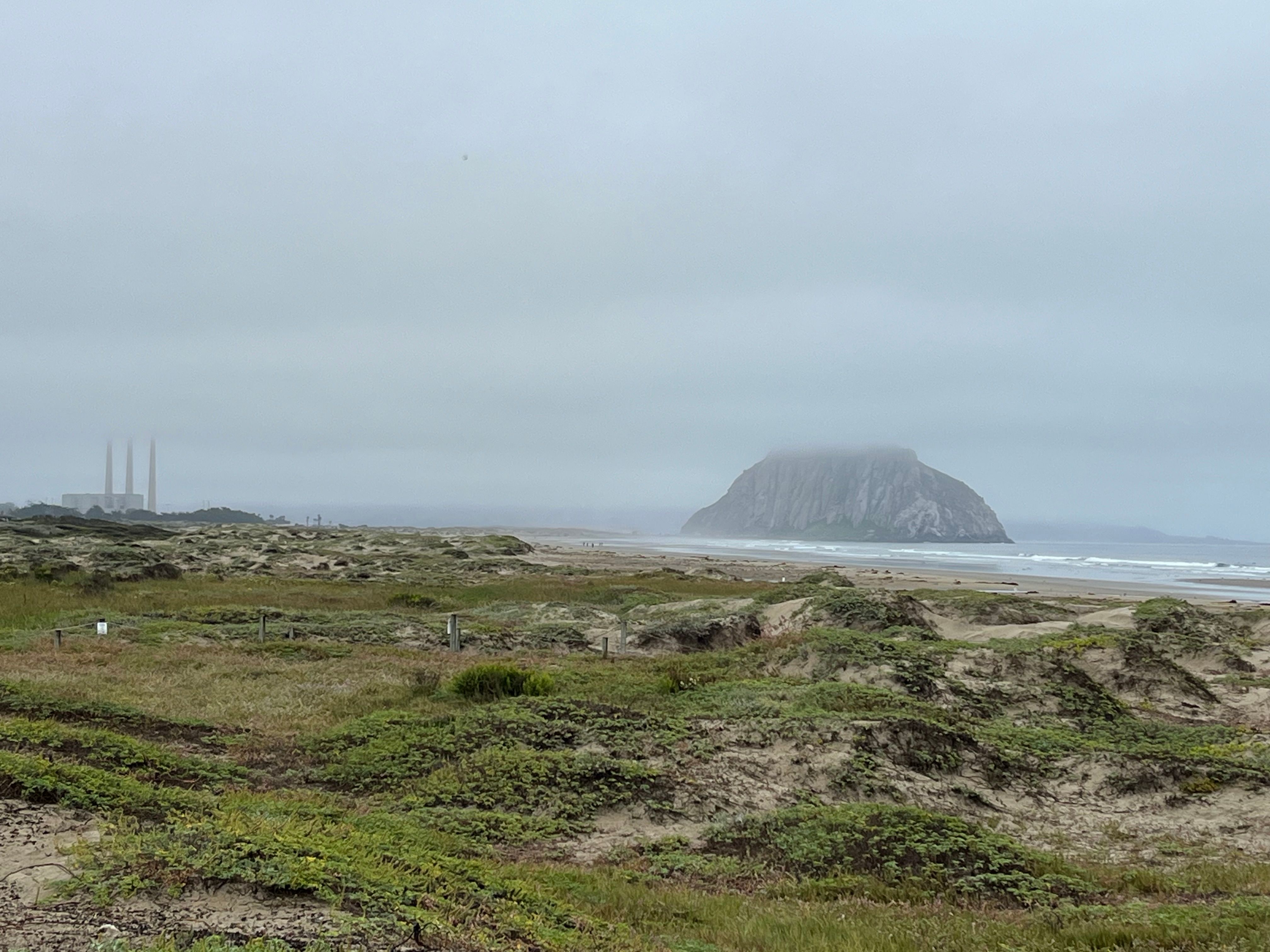 Morro Strand State Beach - Barbara L stepner