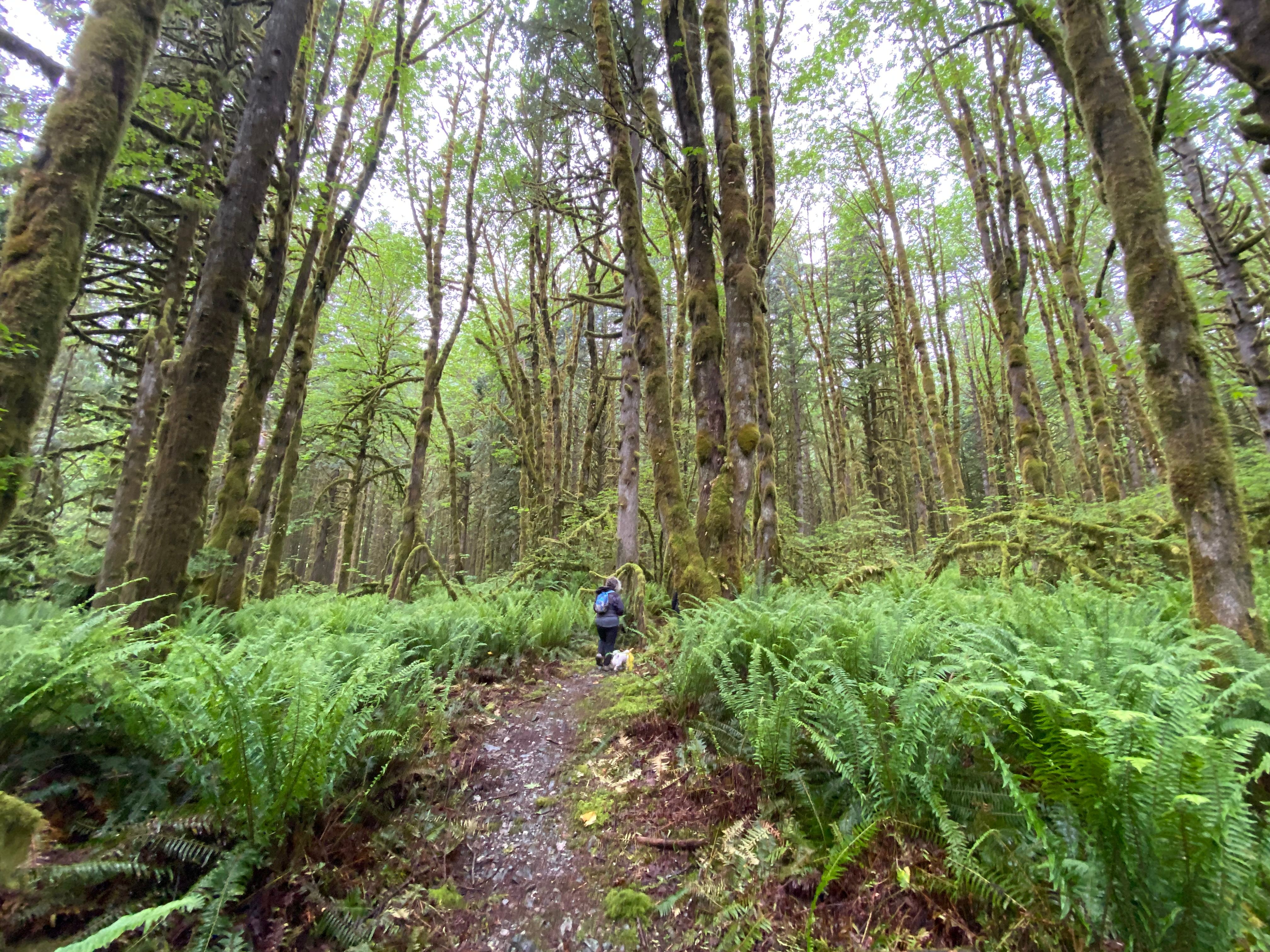 Golden Ears Provincial Park - Eric Karjaluoto