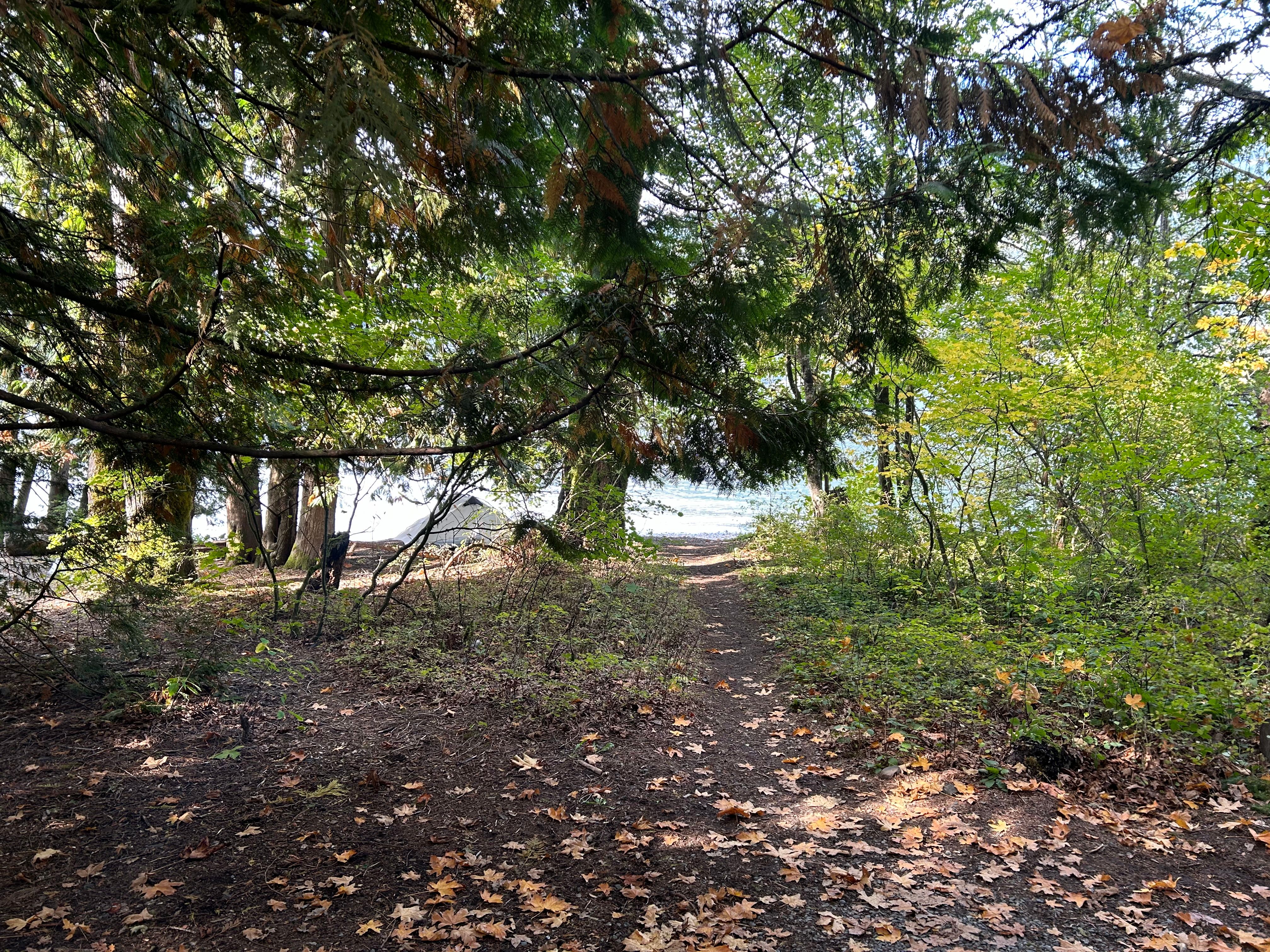 Cultus Lake Provincial Park - Eric Karjaluoto