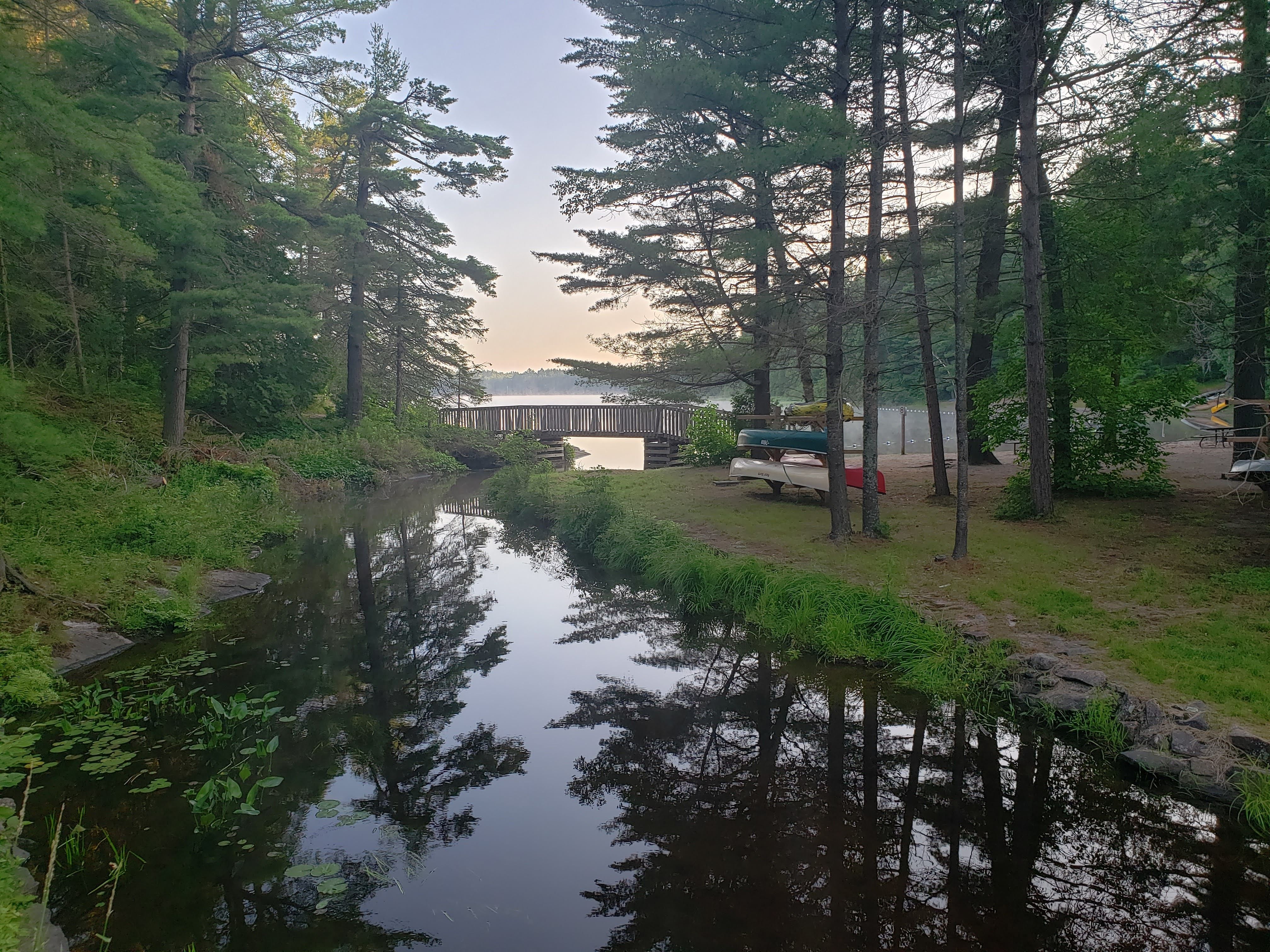 Grundy Lake - Cheryl Benstead