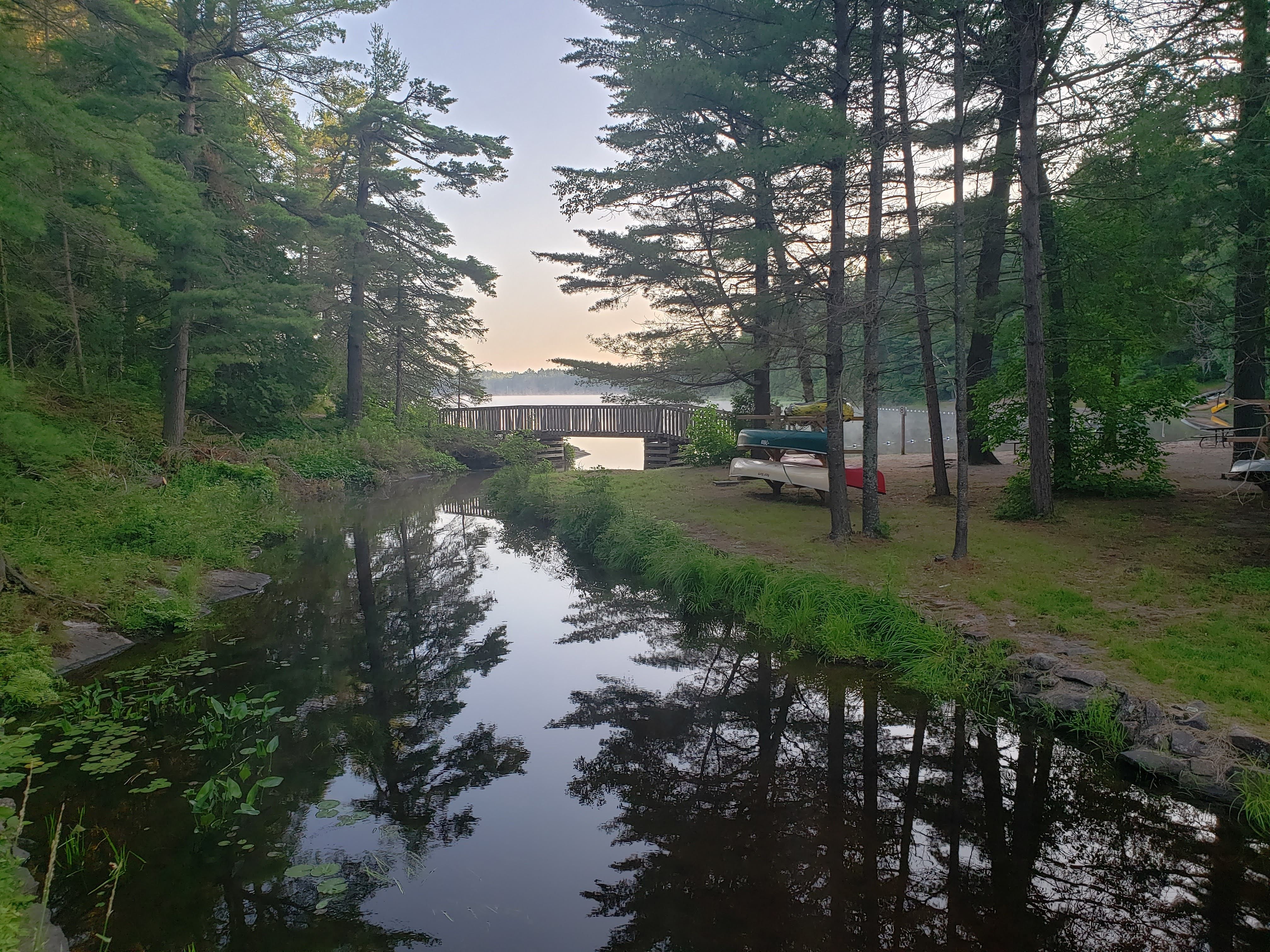 Grundy Lake Provincial Park - Cheryl Benstead