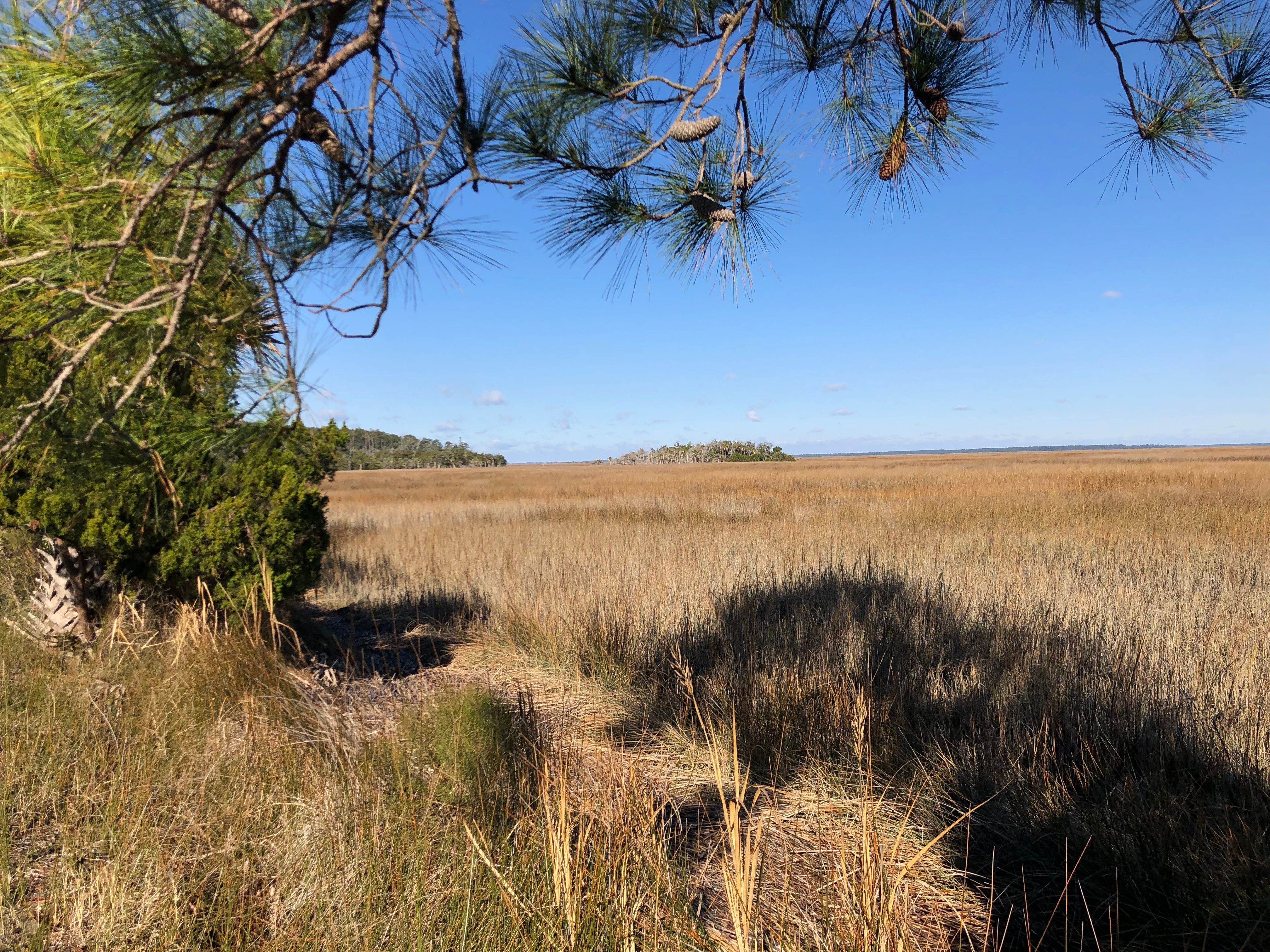 Fort Mcallister State Historic Site - Ben Suarez